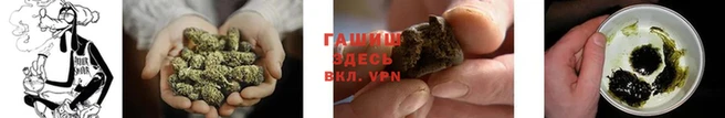 дмт Горняк