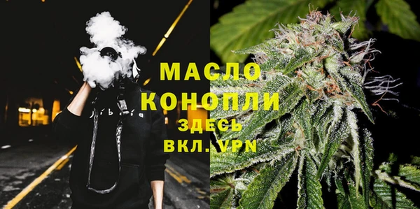 дмт Горняк