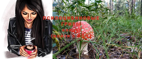 марки nbome Горнозаводск