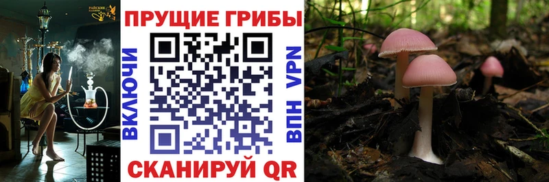 Галлюциногенные грибы ЛСД  Калтан 